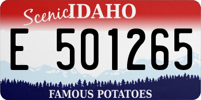 ID license plate E501265