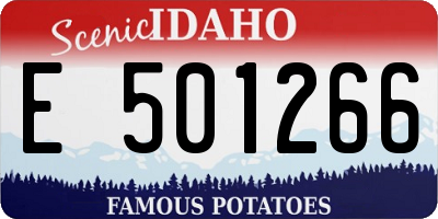 ID license plate E501266