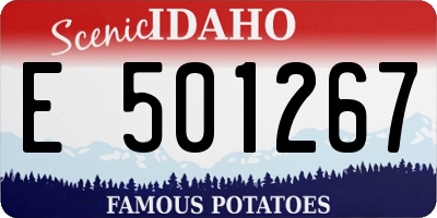 ID license plate E501267