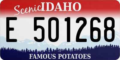 ID license plate E501268
