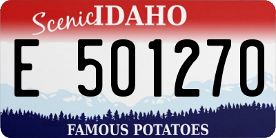 ID license plate E501270