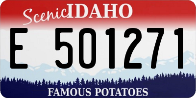 ID license plate E501271