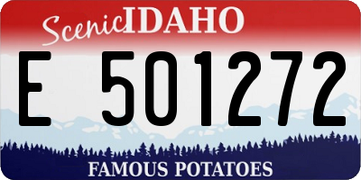 ID license plate E501272