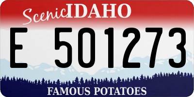 ID license plate E501273