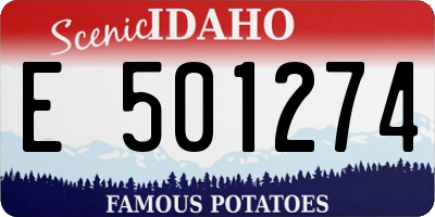 ID license plate E501274