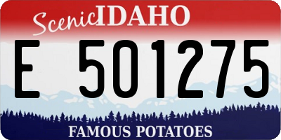 ID license plate E501275
