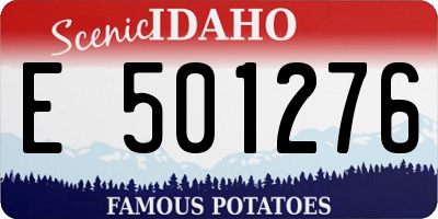 ID license plate E501276