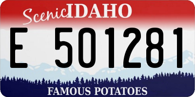 ID license plate E501281