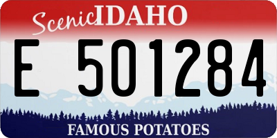 ID license plate E501284