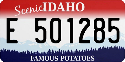 ID license plate E501285