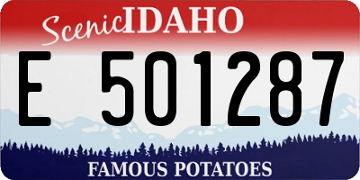 ID license plate E501287