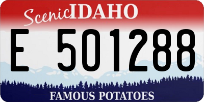 ID license plate E501288