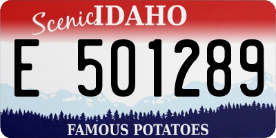 ID license plate E501289