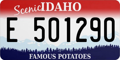ID license plate E501290