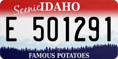 ID license plate E501291
