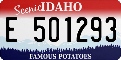 ID license plate E501293