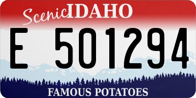 ID license plate E501294