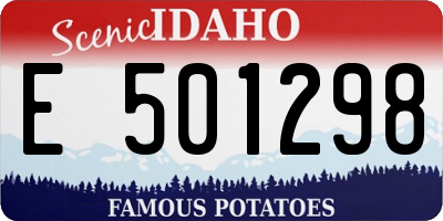 ID license plate E501298
