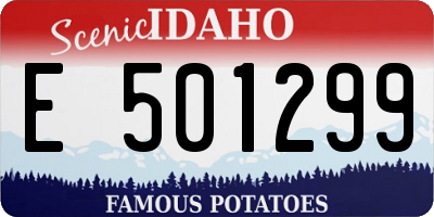 ID license plate E501299