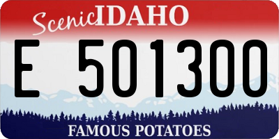 ID license plate E501300