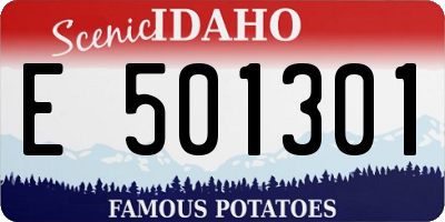 ID license plate E501301