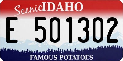 ID license plate E501302