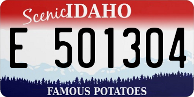 ID license plate E501304