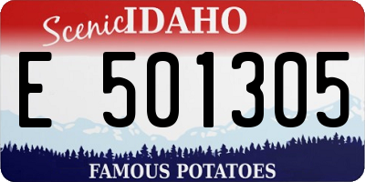 ID license plate E501305