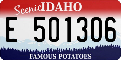 ID license plate E501306