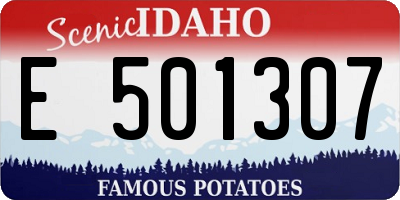 ID license plate E501307