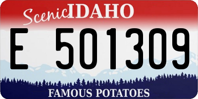 ID license plate E501309