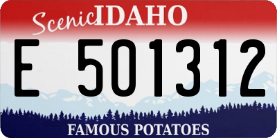 ID license plate E501312