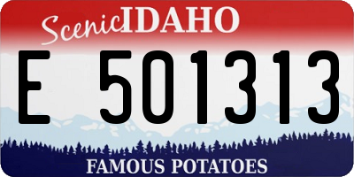 ID license plate E501313