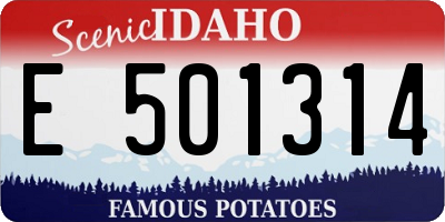 ID license plate E501314