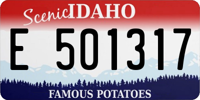ID license plate E501317