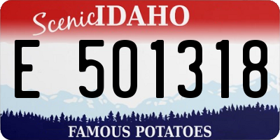 ID license plate E501318