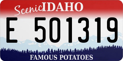ID license plate E501319