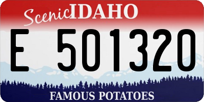 ID license plate E501320