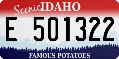 ID license plate E501322