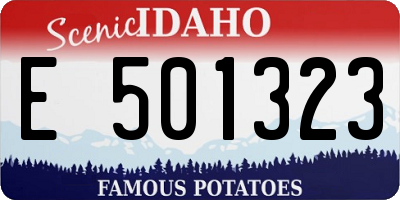 ID license plate E501323
