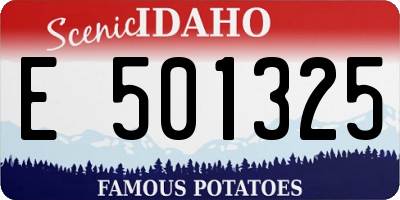 ID license plate E501325