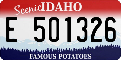 ID license plate E501326