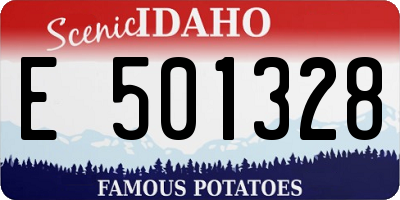 ID license plate E501328