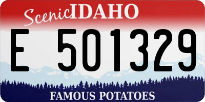 ID license plate E501329