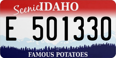 ID license plate E501330