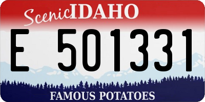 ID license plate E501331