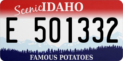 ID license plate E501332