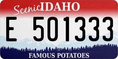 ID license plate E501333