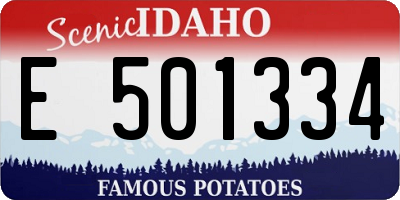 ID license plate E501334