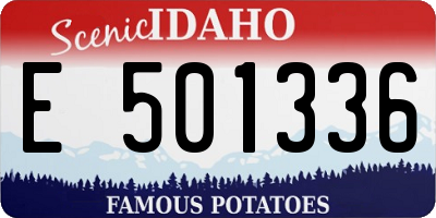 ID license plate E501336
